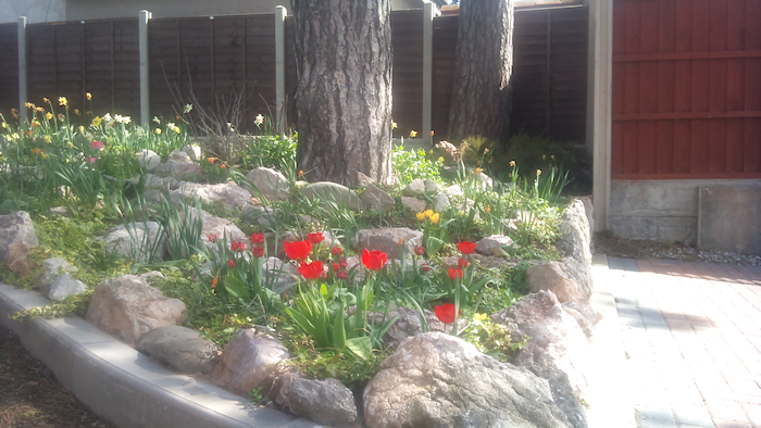landscaping
